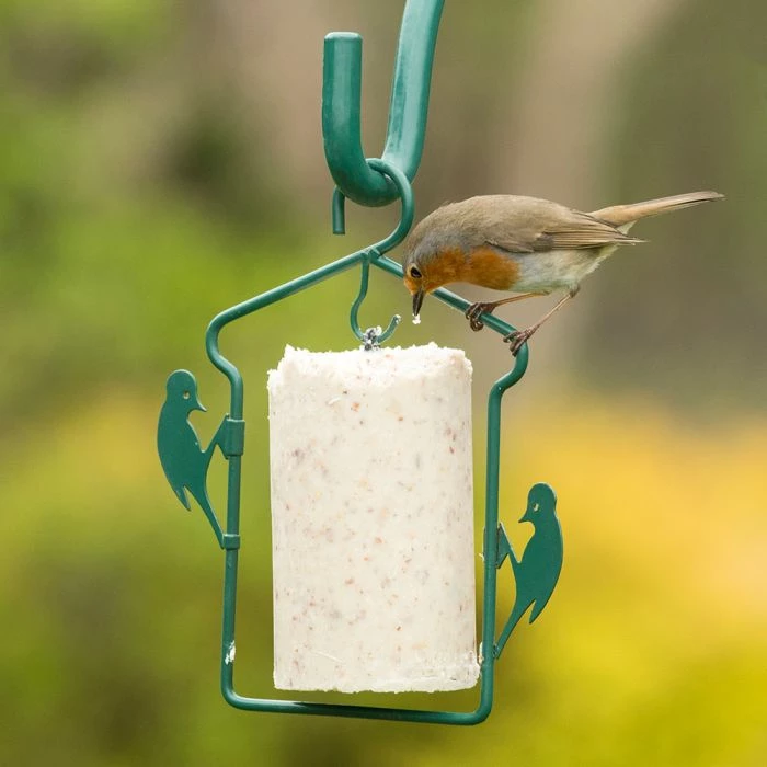 National Trust Gourmet Robin Peanut Cake (500 Ml) - Image 4