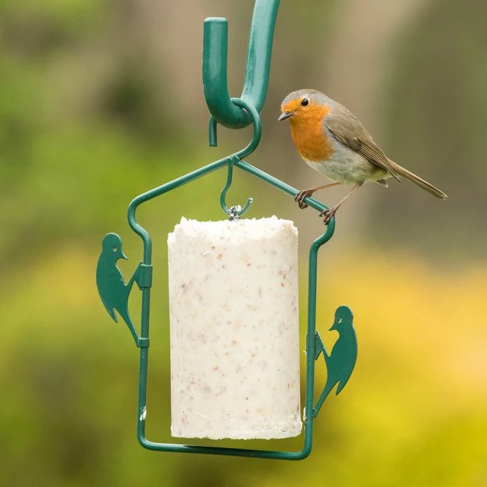 National Trust Gourmet Robin Peanut Cake (500 Ml) - Image 2