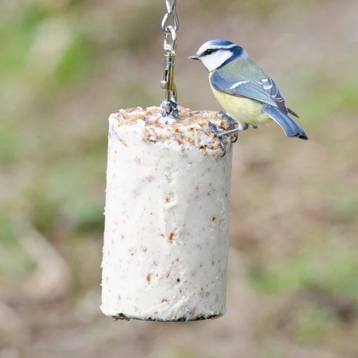 Peanut Cake Tube With Mealworms (1 Litre) - Image 2
