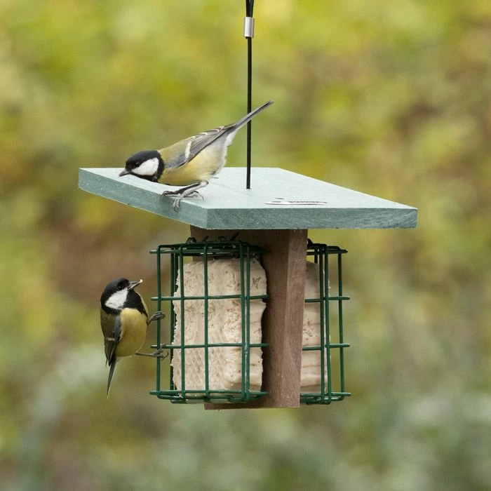Peanut Cake Square Original - Image 3