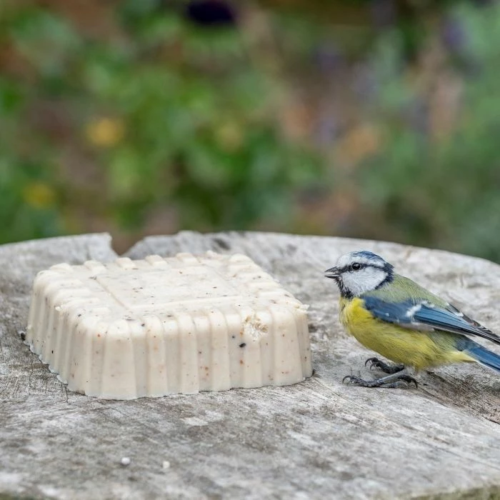 Peanut Cake Squares - Bundle Of 7 - Image 2