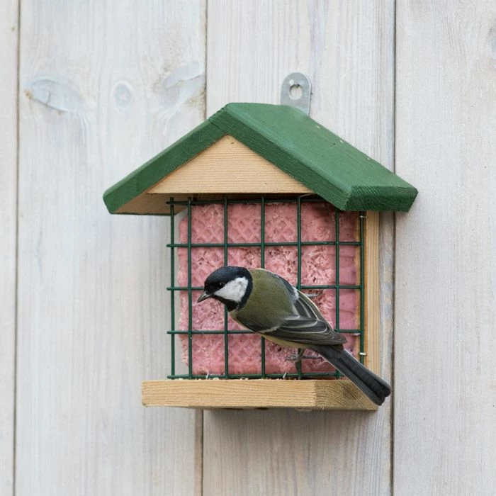 Peanut Cake Square Very Berry - Image 2