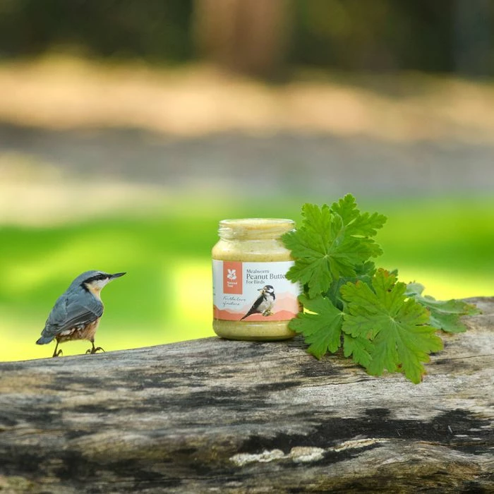 National Trust Mealworm Peanut Butter For Birds - Image 2