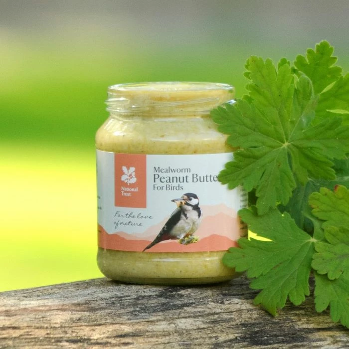 National Trust Mealworm Peanut Butter For Birds