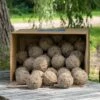 Box Of 50 Ultimate Fat Balls With Insects