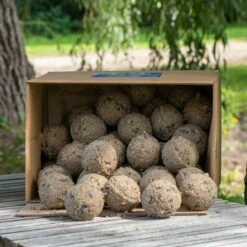 Box Of 50 Ultimate Fat Balls With Insects
