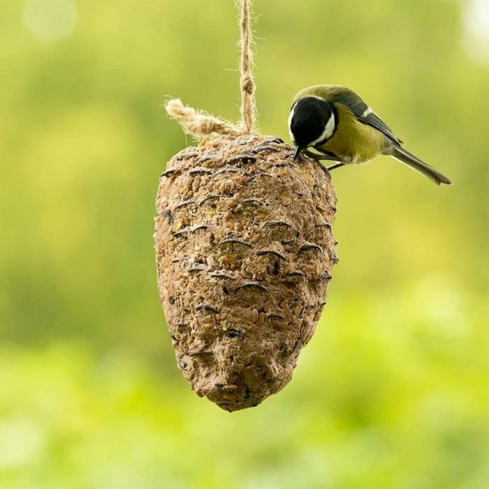 Peanut Butter Filled Pine Cone For Birds - Image 2