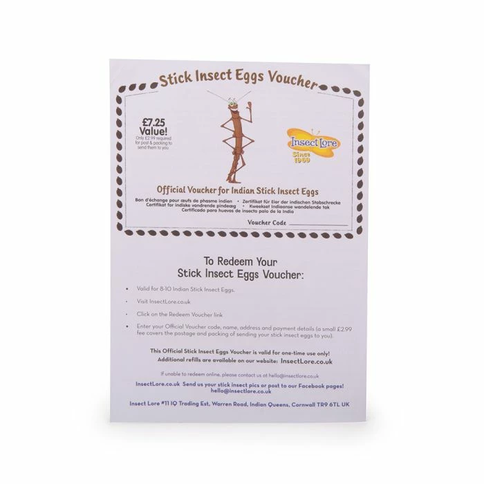 Voucher For Replacement Stick Insect Eggs