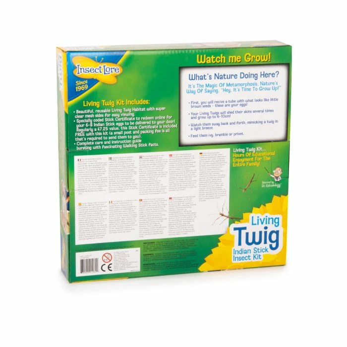 Living Twig Stick Insect Kit - Image 2