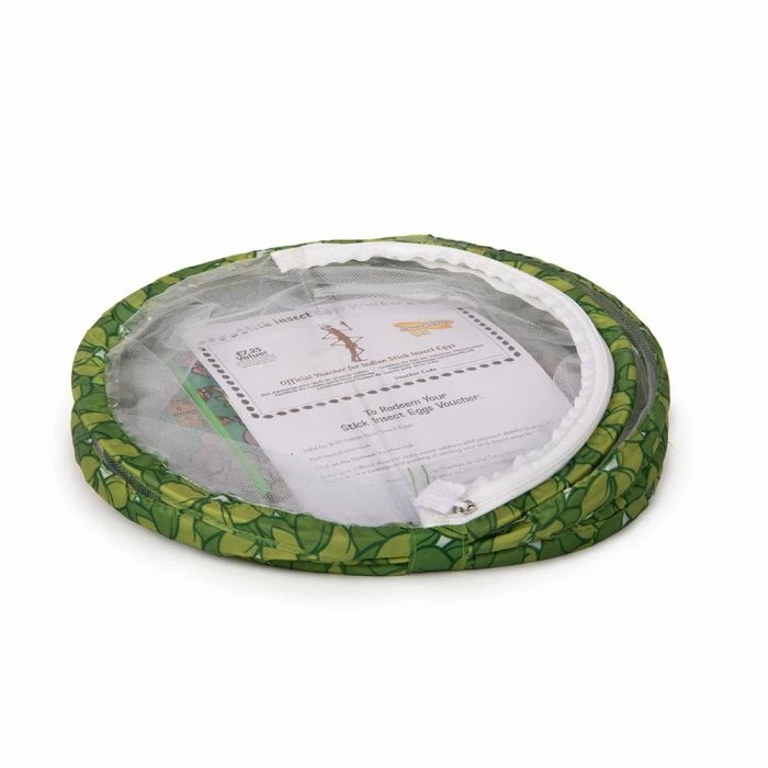 Living Twig Stick Insect Kit - Image 5