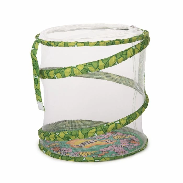 Living Twig Stick Insect Kit - Image 4