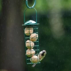 Fat Balls With Insect Fat - 6 Pack