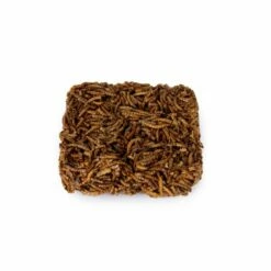 Dried Mealworm Square For Birds 90g