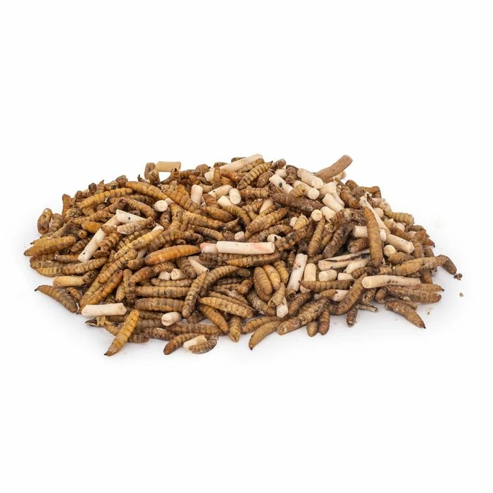 Protein-rich Insect Mix Bird Food (2.5kg) - Image 2