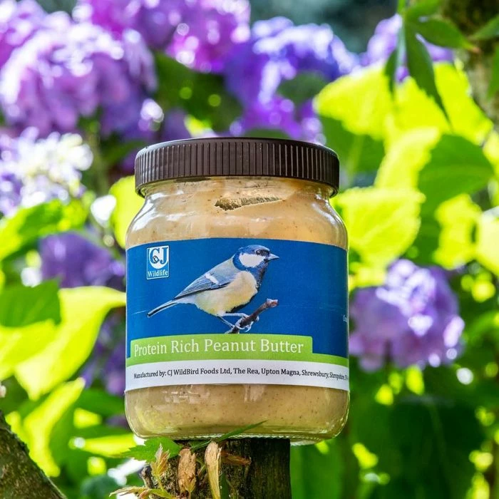 Protein Rich Peanut Butter For Birds - Bundle Of 4 - Image 3