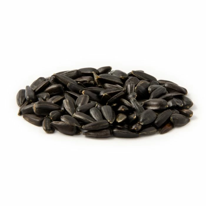 Organic Black Sunflower Seeds 2.5kg - Bird Food - Image 3