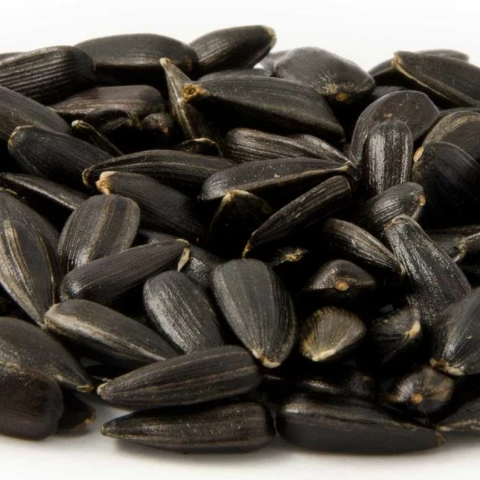 Organic Black Sunflower Seeds 2.5kg - Bird Food - Image 4