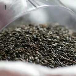 Nyjer Seed - Bird Food To Attract Goldfinches