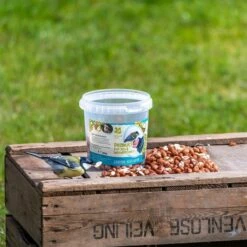National Trust Kids Peanuts For Tits & Woodpeckers