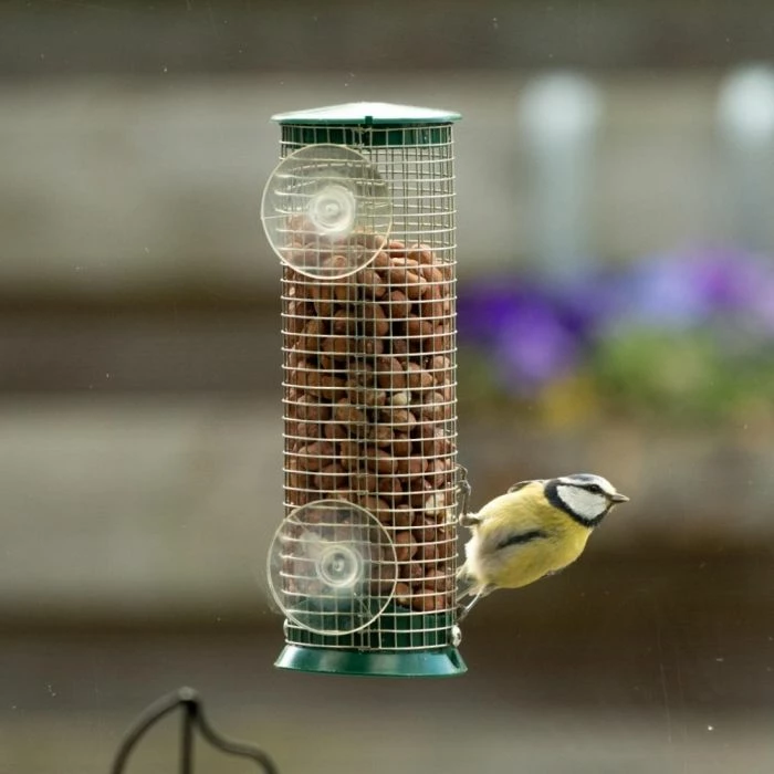 Discovery Plastic Peanut Window Feeder