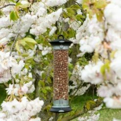 National Trust Apollo Peanut Feeder