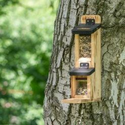 Gabriola Double Squirrel Feeder