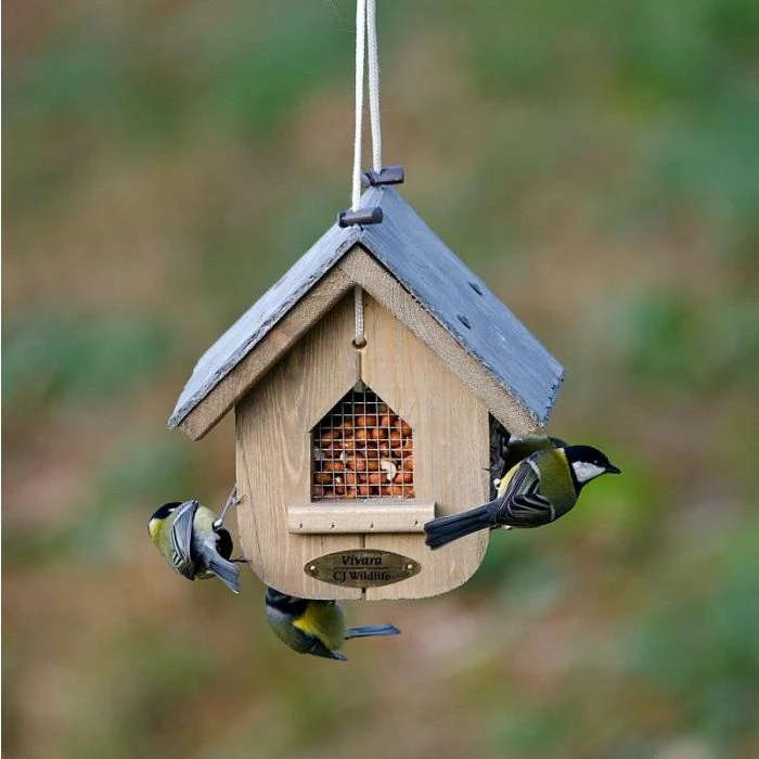 Premium Whole Peanuts - Bird Food - Image 5