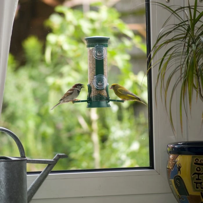 Discovery Plastic Window Seed Feeder - Image 3