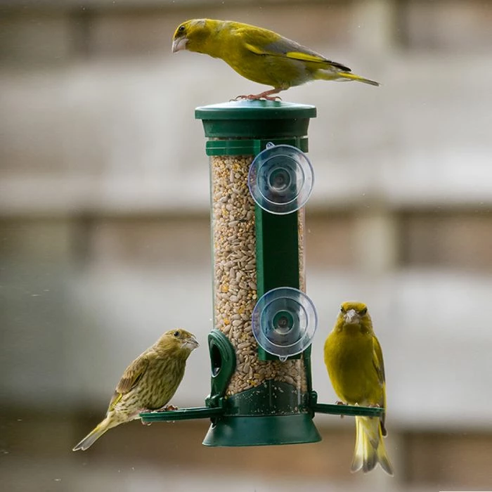 Discovery Plastic Window Seed Feeder - Image 2