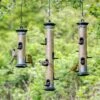 Apollo Bird Seed Feeder Range