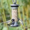 National Trust Apollo 2 Port Bird Seed Feeder