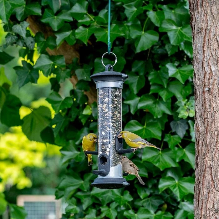 National Trust Apollo 4 Port Bird Seed Feeder - Image 2