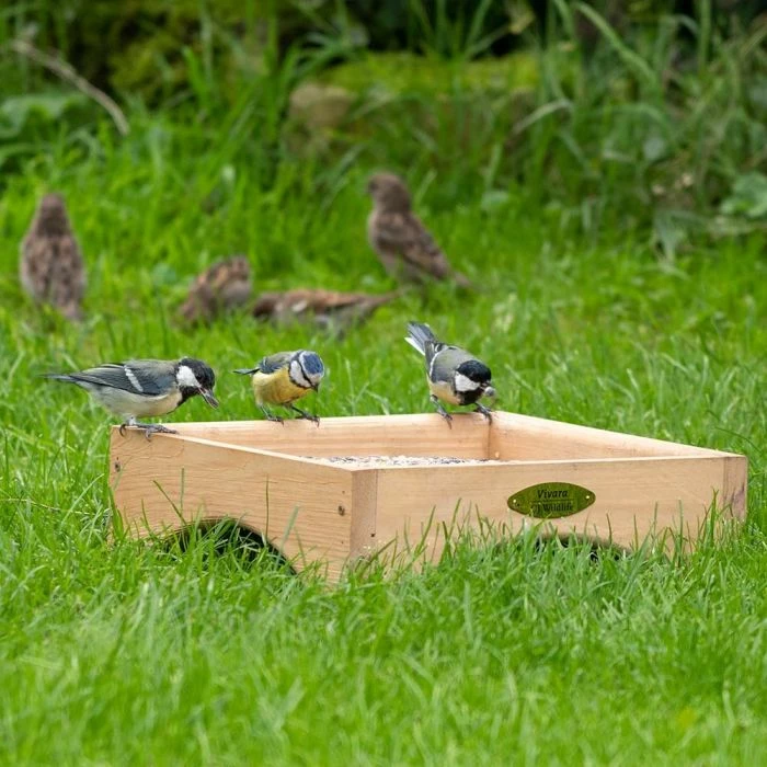 Kandava Ground Bird Feeding Table - Image 3