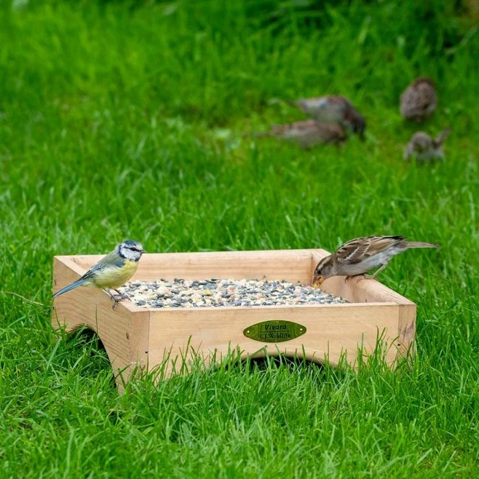 Kandava Ground Bird Feeding Table - Image 2