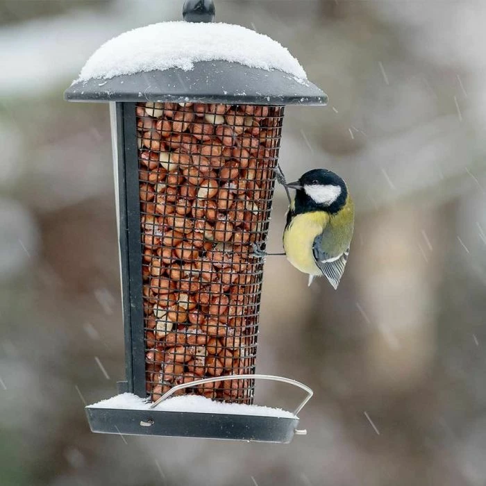 Edessa Multi Bird Feeder - Image 3