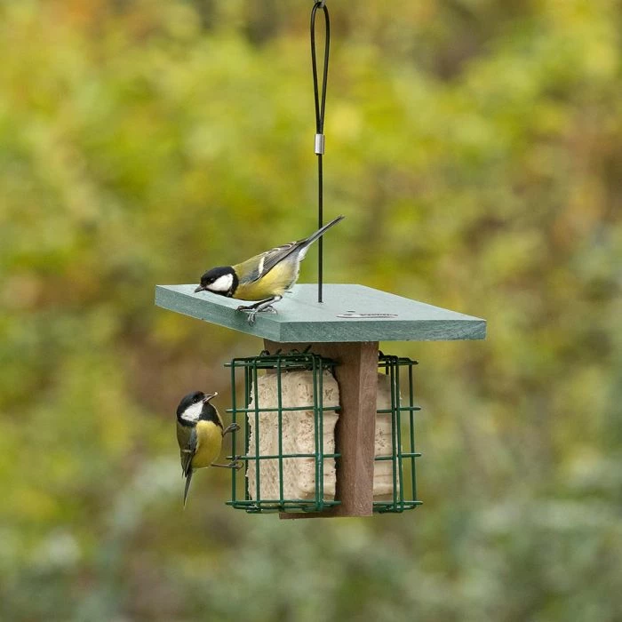 Monviso Recycled Peanut Cake Square Bird Feeder - Image 2