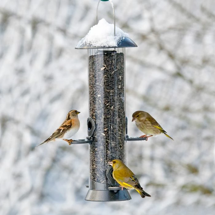 Adventurer 4 Port Seed Feeder - Image 2