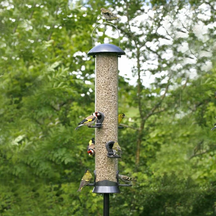 Adventurer 6 Port Seed Feeder - Image 2
