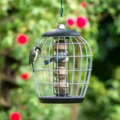 Aura Fat Ball Bird Feeder With Guardian