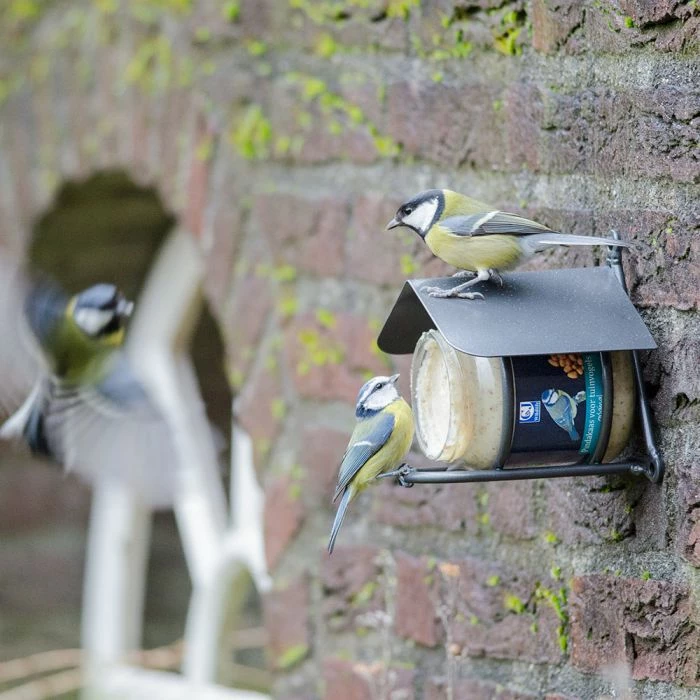 Wicklow Peanut Butter Feeder - Image 3