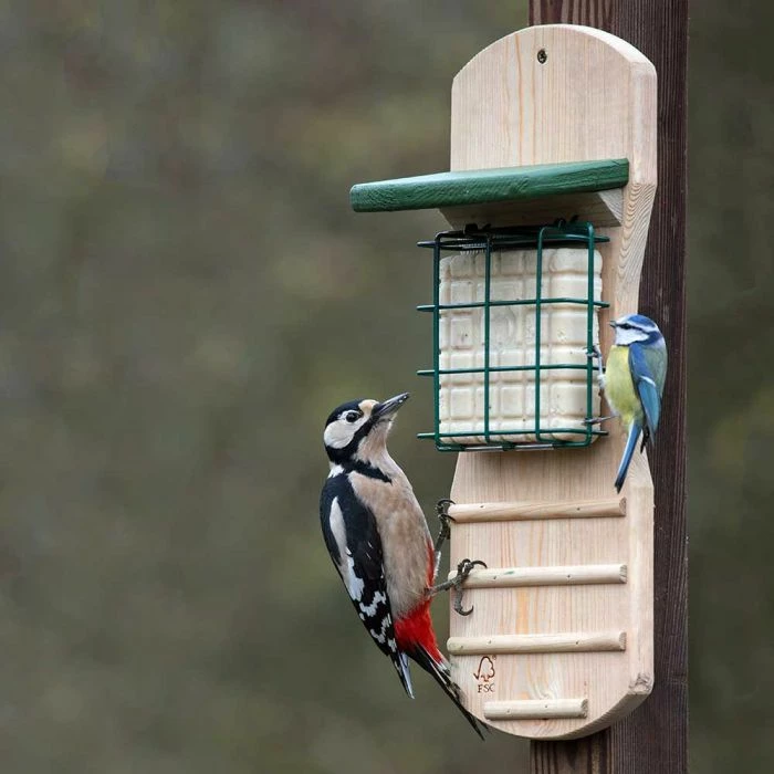 Woodpecker Bistro Peanut Cake Square Feeder - Image 2