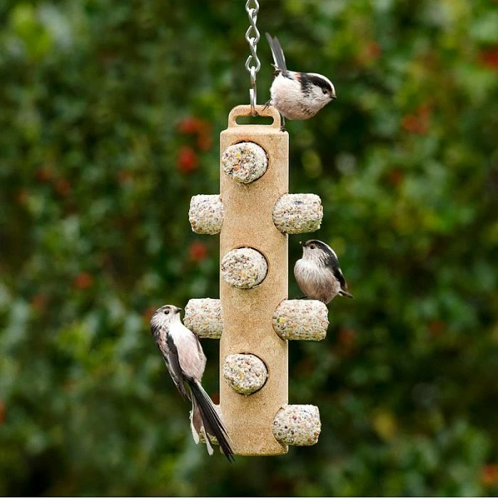 Suet Logs With Seeds - 6 Pack - Image 2