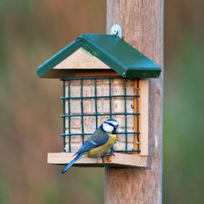 Wolga Peanut Cake Feeder - Image 2