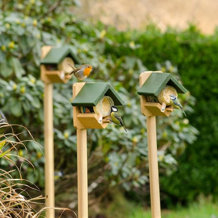 Pole Mounted Dublin Peanut Butter Feeder