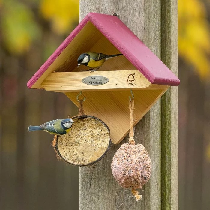 Yellowstone Wall Mounted Bird Feeder - Image 2