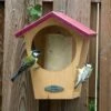 Oregon Peanut Cake Bird Feeder