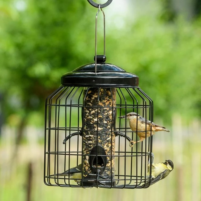 Brussels Seed Bird Feeder Guardian Pack
