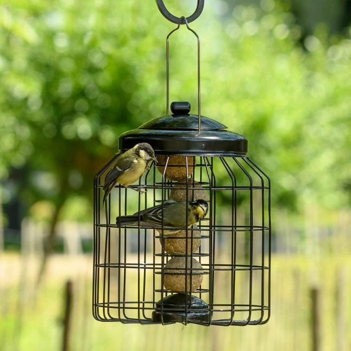 Brussels Fat Ball Bird Feeder Guardian Pack - Image 3