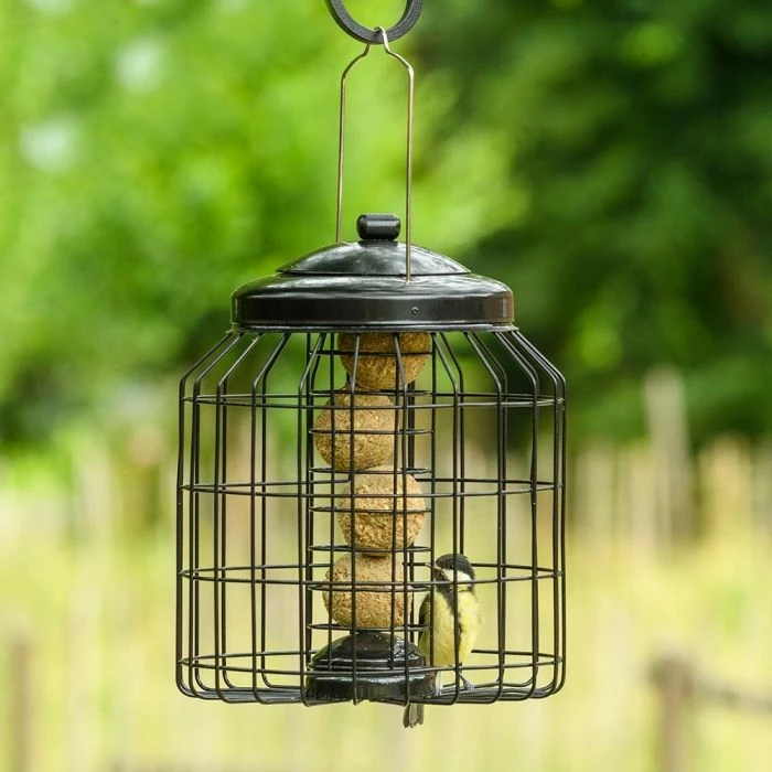 Brussels Fat Ball Bird Feeder Guardian Pack - Image 5
