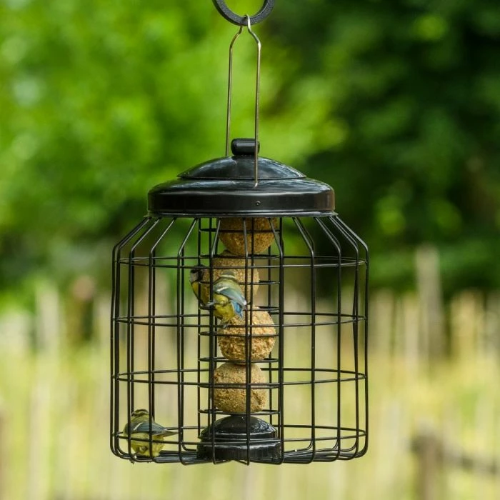 Discover the 2024 Brussels Fat Ball Bird Feeder Guardian Pack at from Great